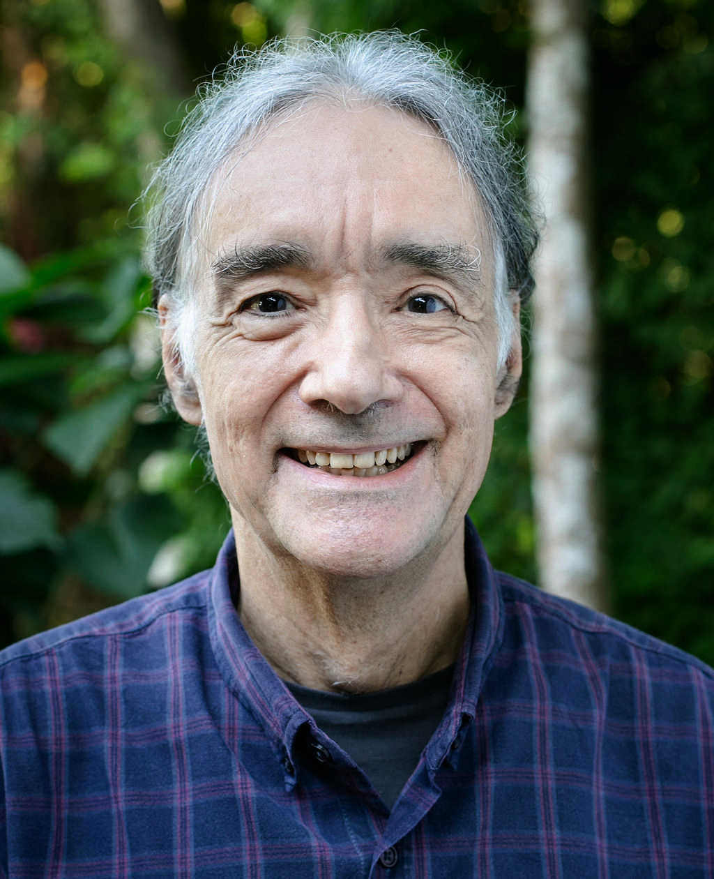 Luiz Velho